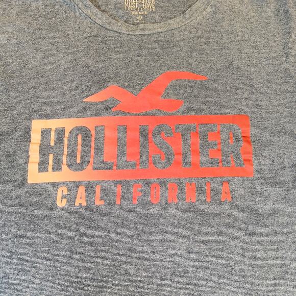 Hollister T-Shirts *Lot of 2* Men M Logo Cali Teal Blue w Bird & Slate Blue Grey - Picture 6 of 16